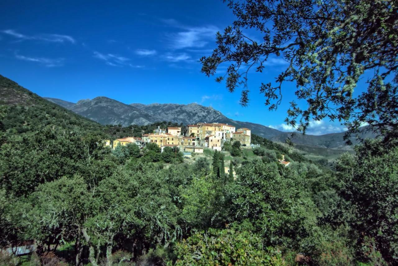 A Ghjuvellina Hotel Piedigriggio Exterior foto